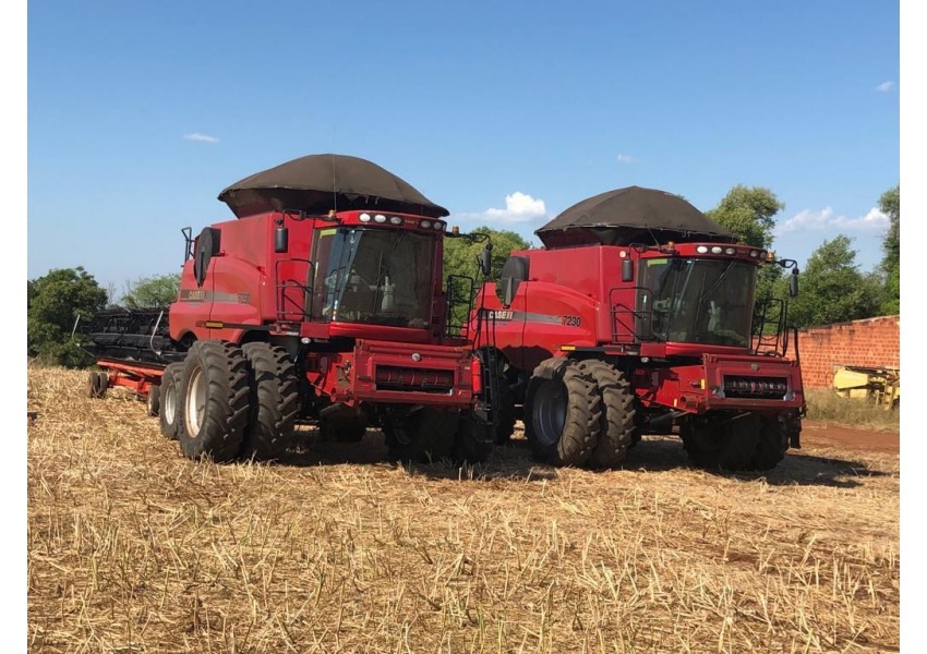 Agrorei | Joinville SC