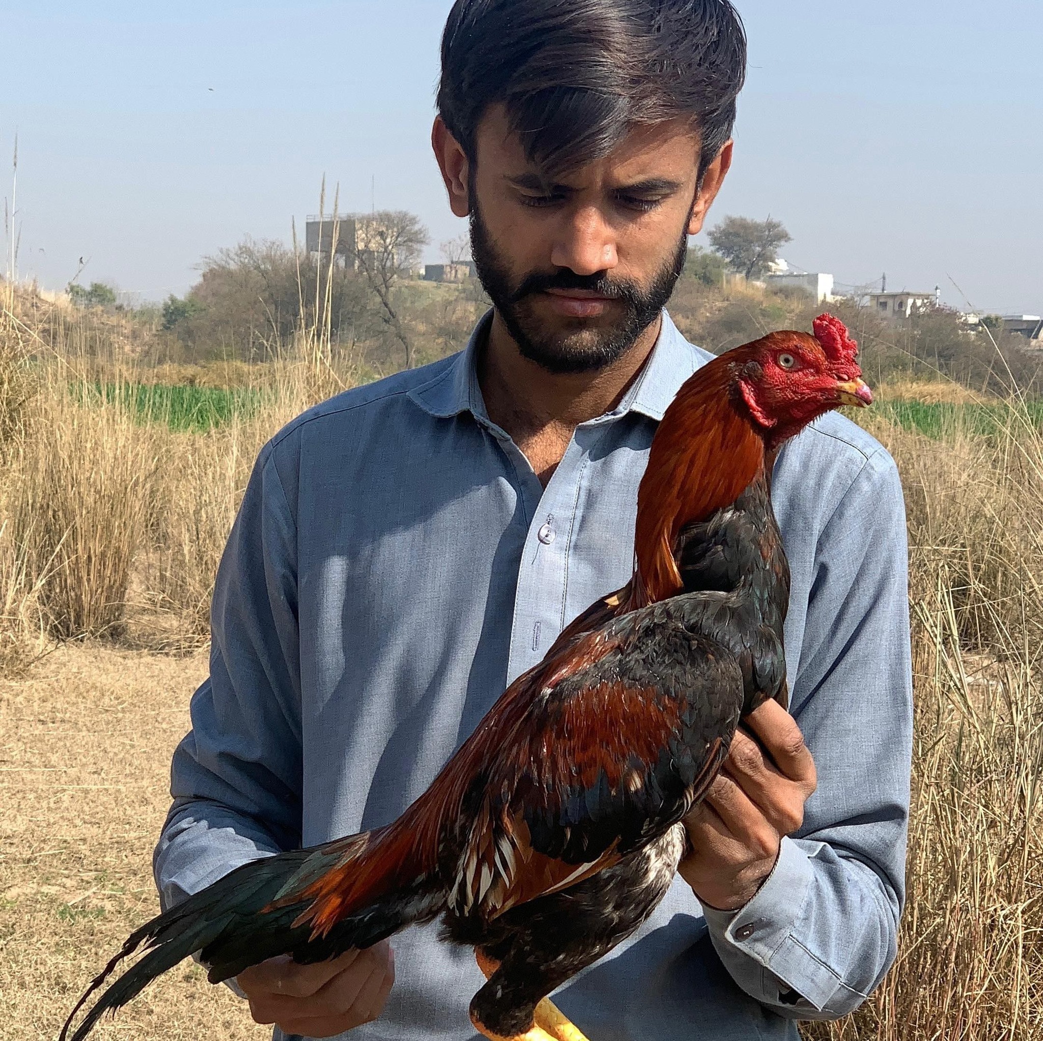 Apne khwaboon ke ghar ke liye chunein sirf A-One Quality! 🧱🏠 Mughal ...