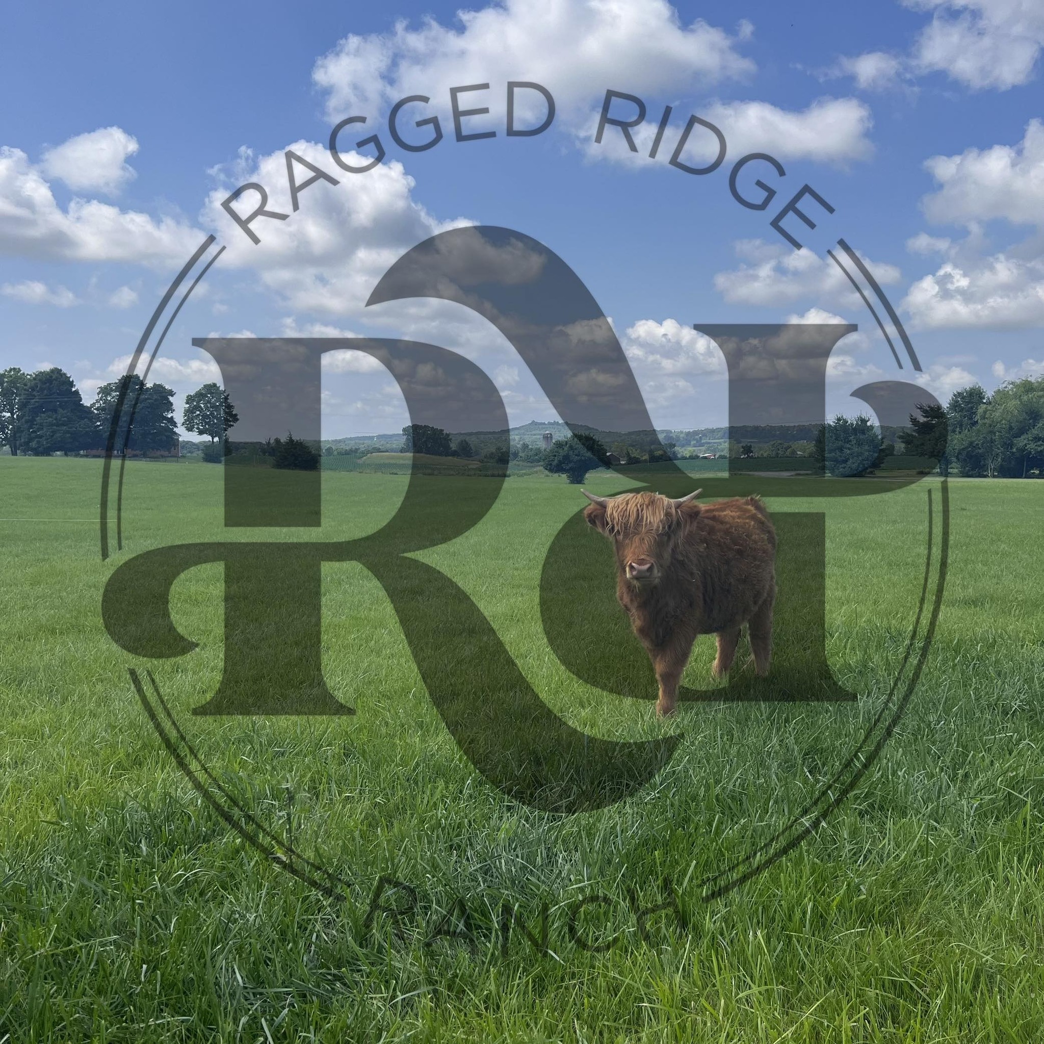 Ragged Ridge Ranch | Frankfort OH