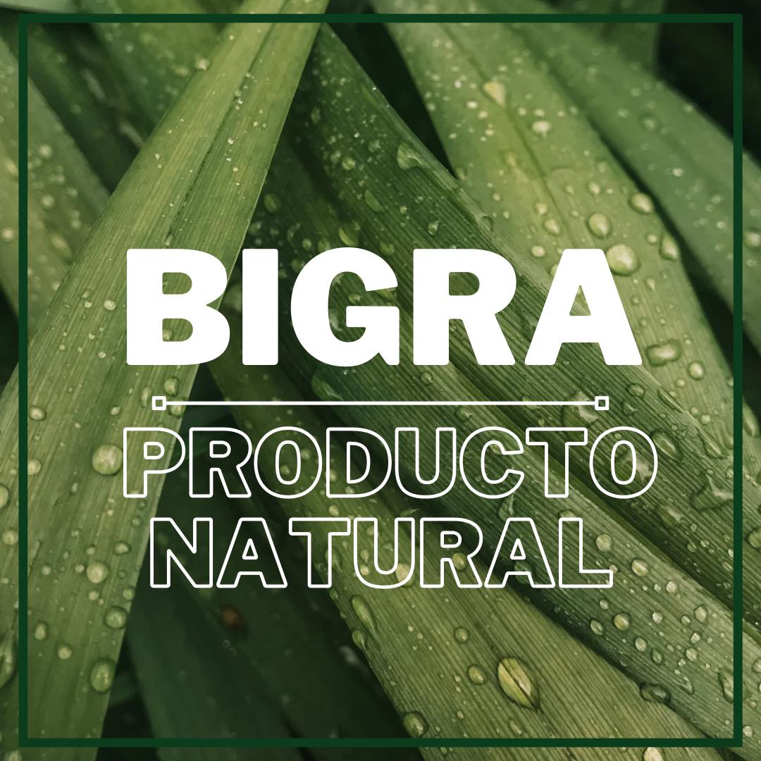 Bigra Productos Naturales | Santiago