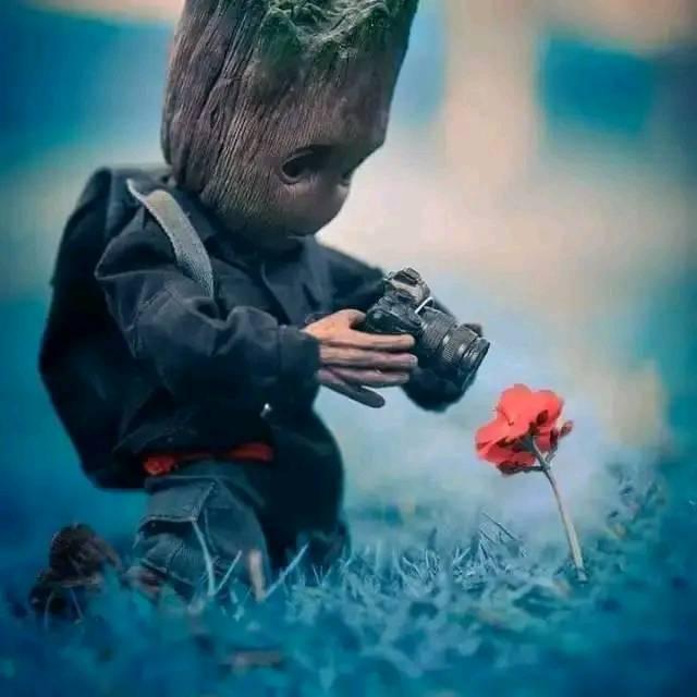 Maître du stoicisme | Facebook