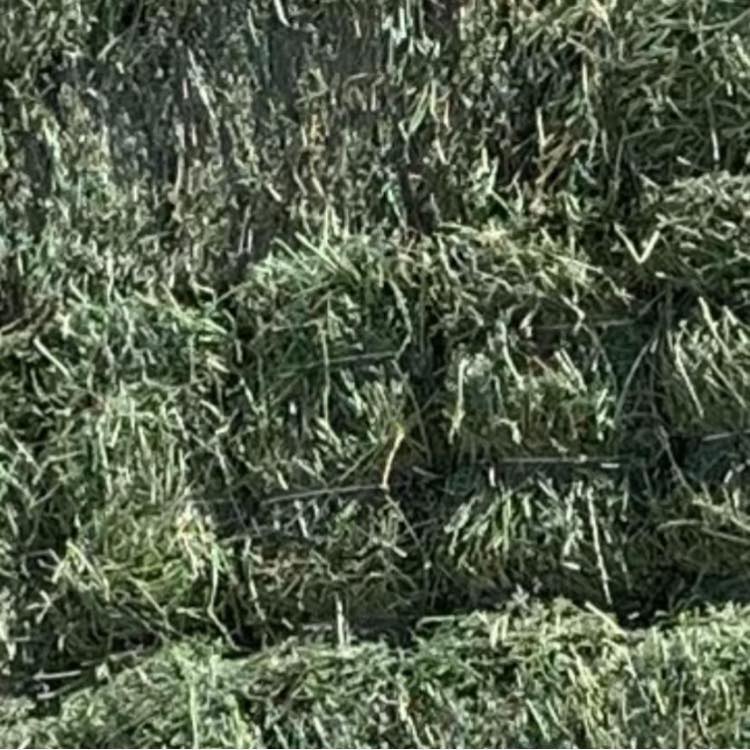 Photo inspiration: Picture Idea: K3 Alfalfa Hay Farm