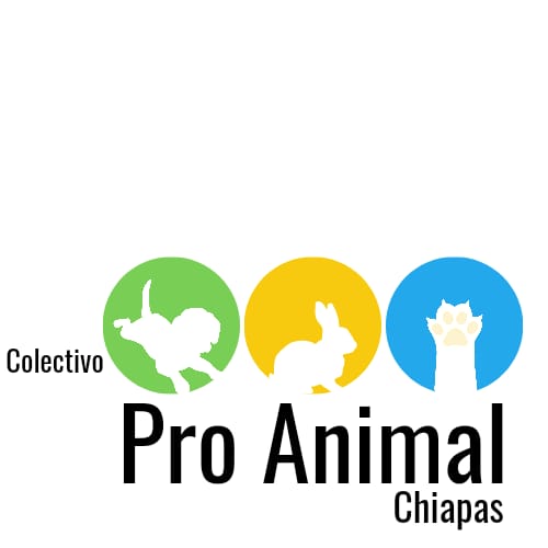 Colectivo Pro Animal Chiapas