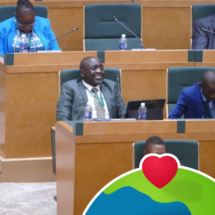 Zanu PF Mutasa Central Constituency