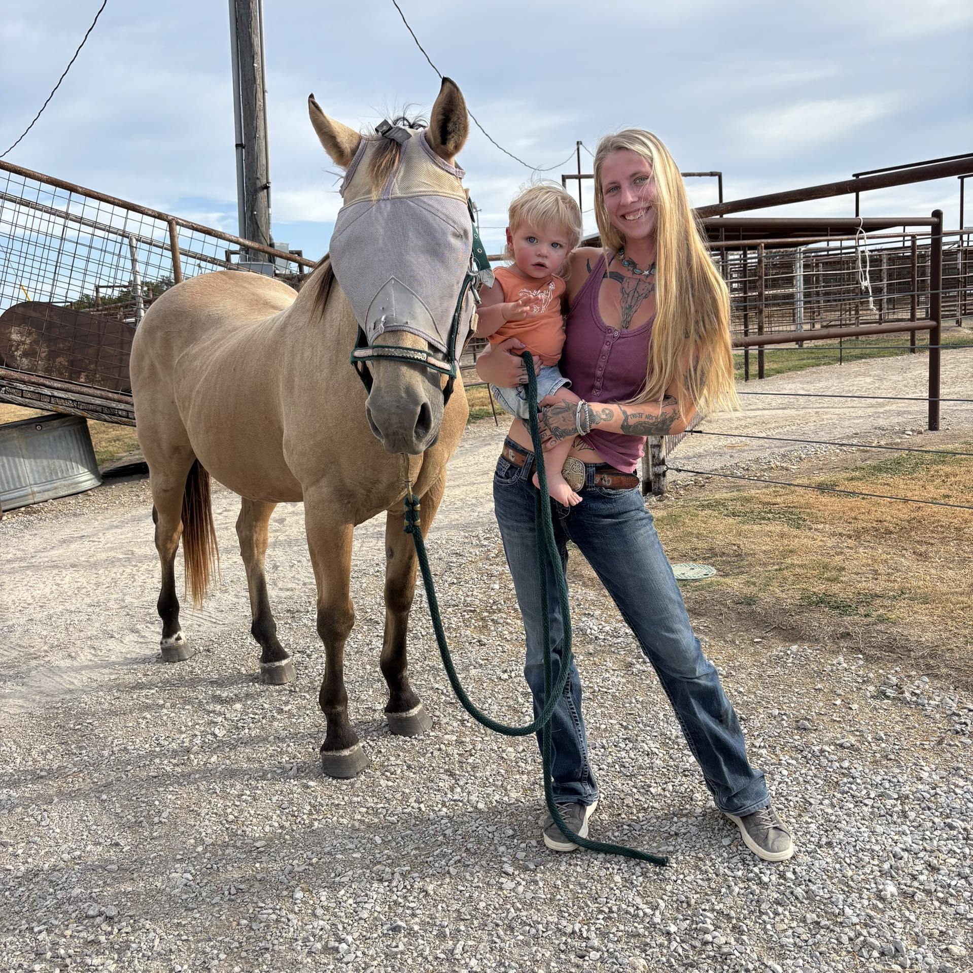 Rylee Henry - Tossing around the idea to send my mare to a... | Facebook