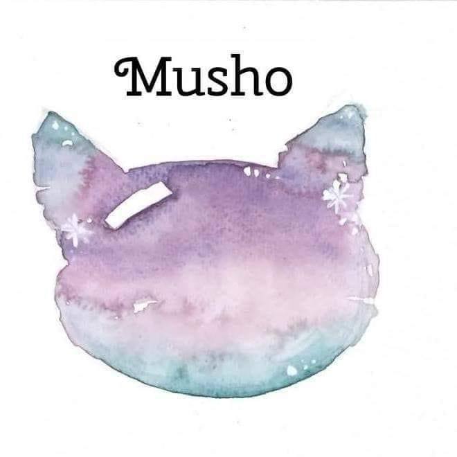 Musho Jabon artesanal | Nezahualcóyotl