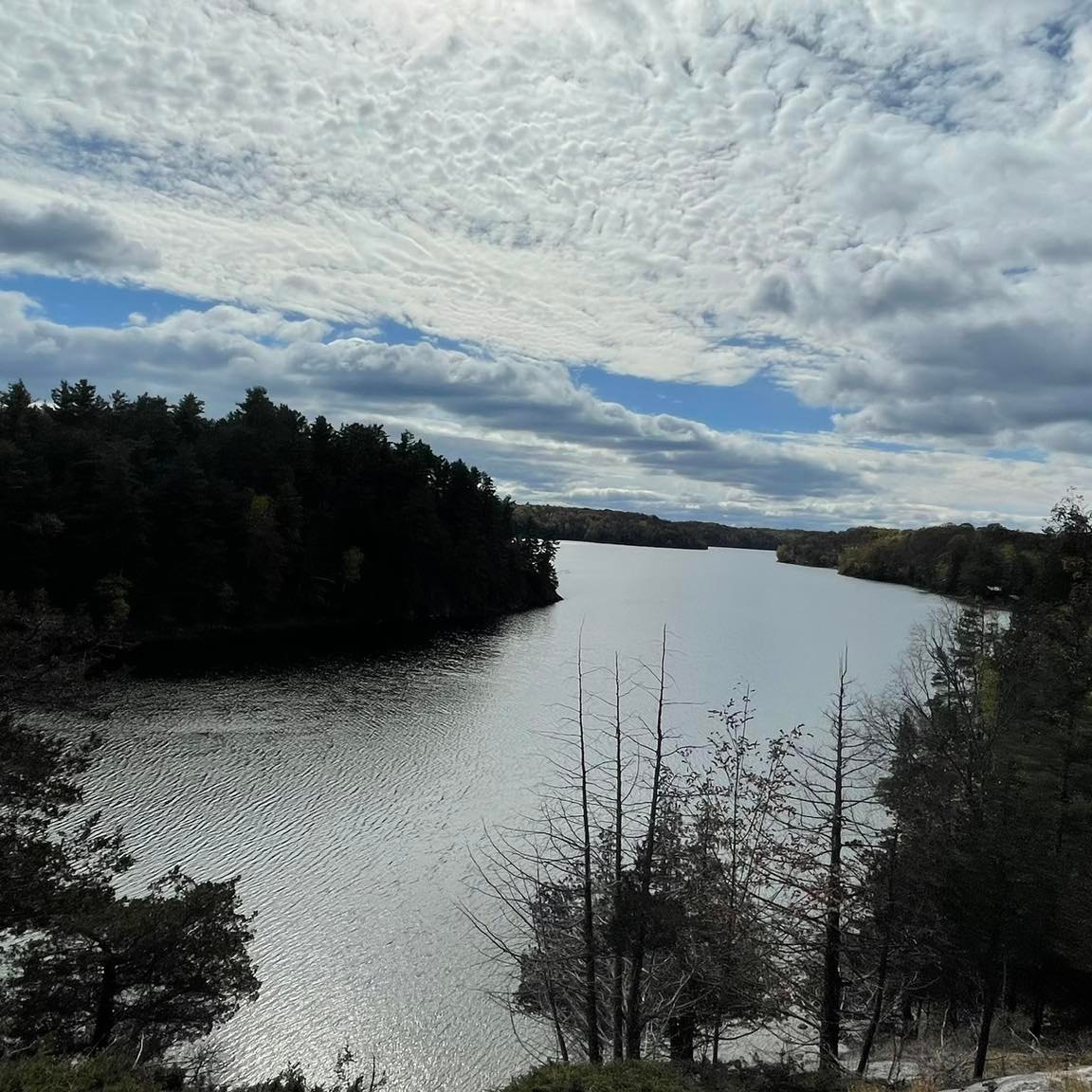 Durham College Textbook Buy/Sell Group | Facebook