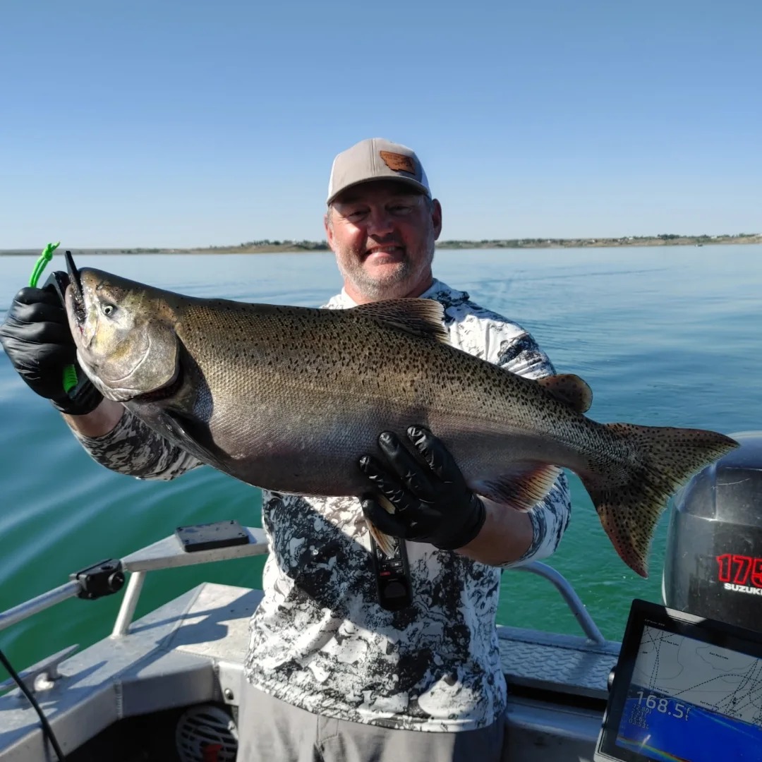 Fish Wacker Tackle | Belgrade MT