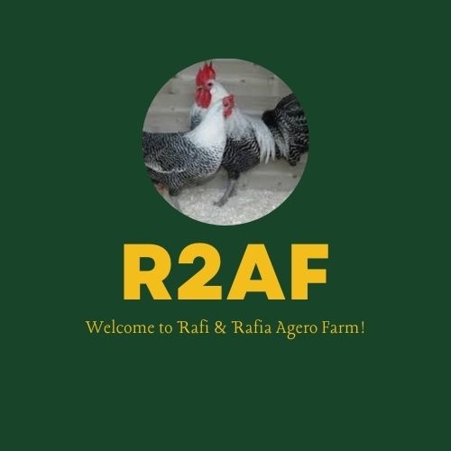 Rafi & Rafia Agro Farm