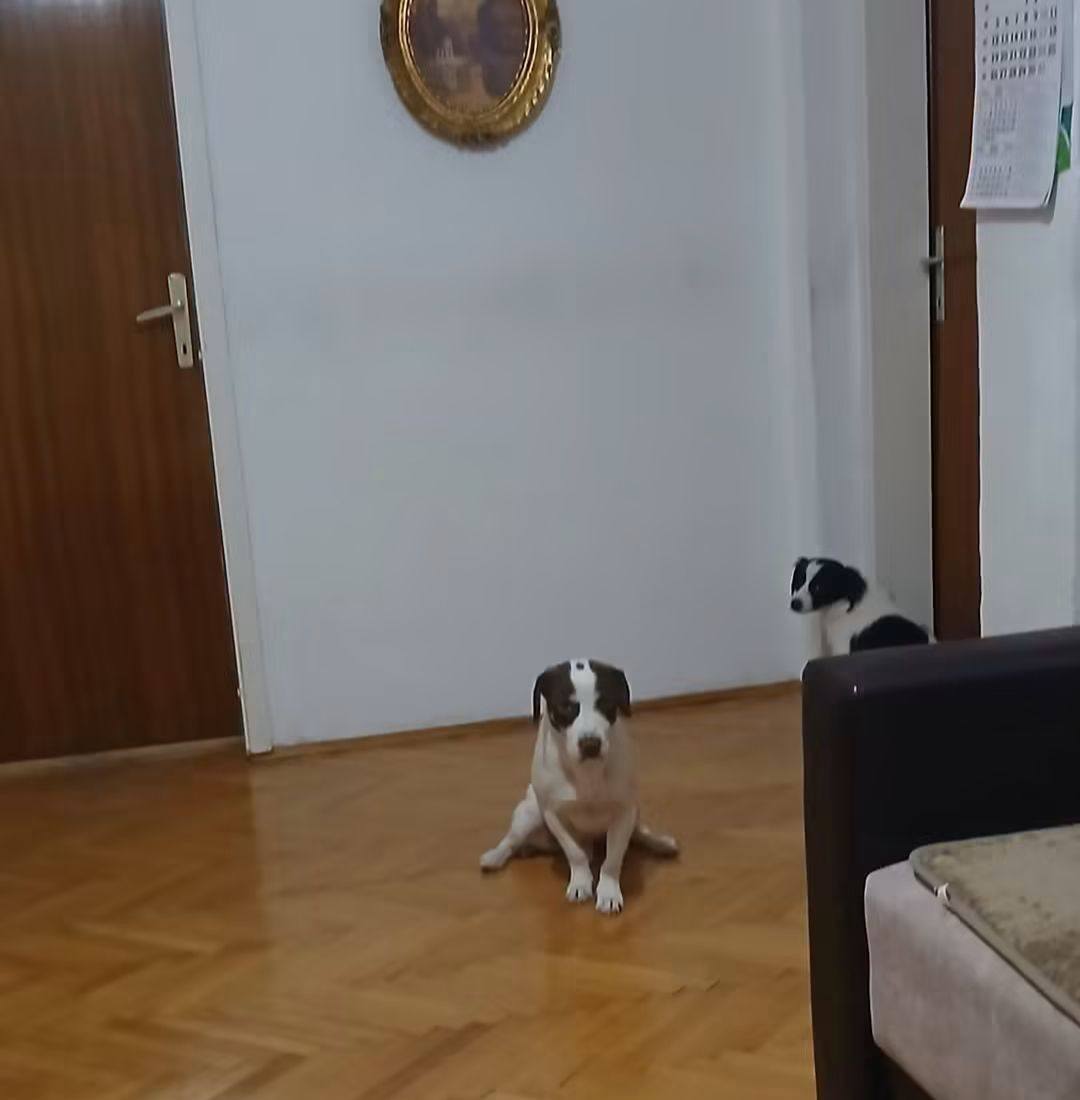 🤎 FENOMENALNA OBLANDA – STARINSKI KOLAČ KOJEM JE TEŠKO ODOLJETI! 😍🍫 ...