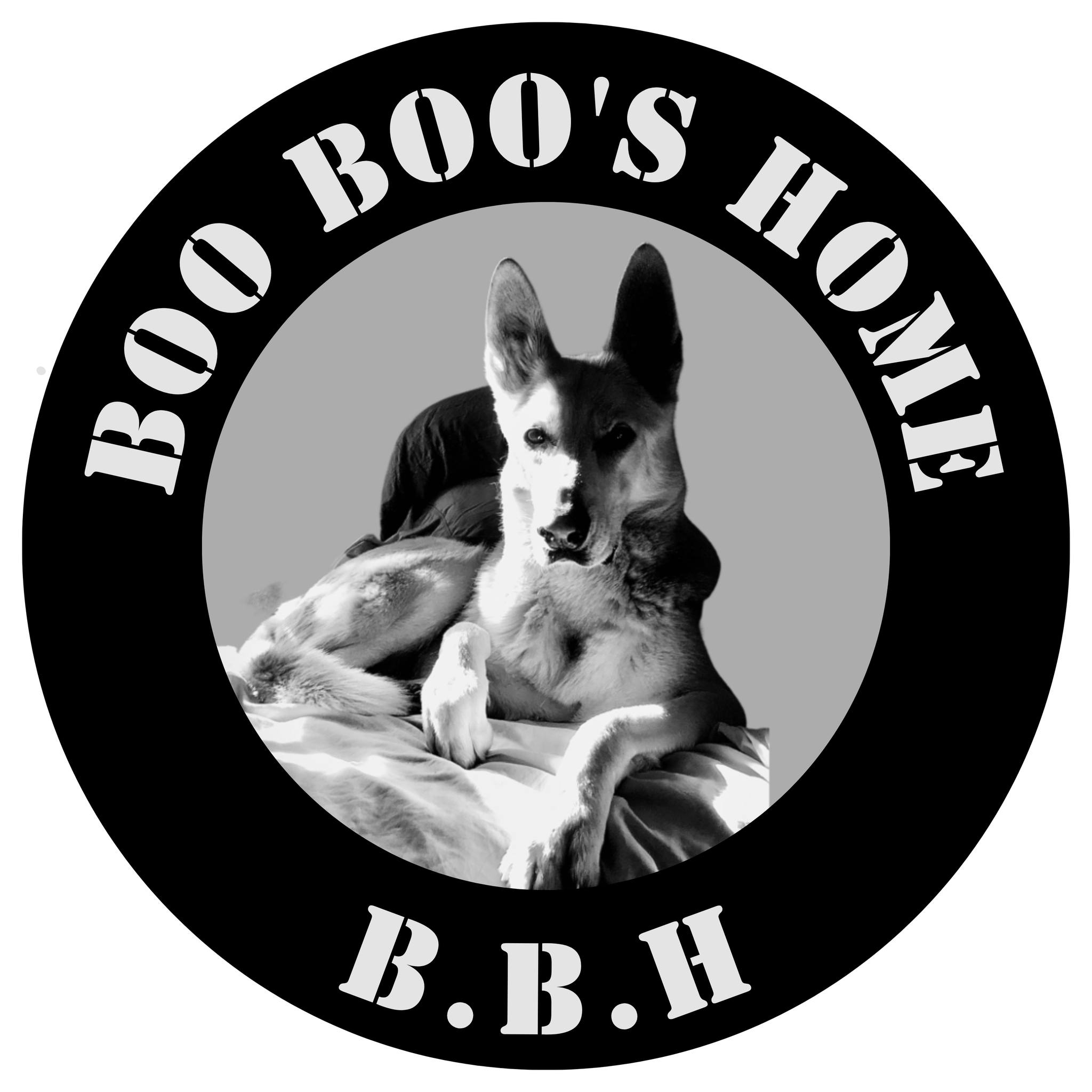 Boo Boo's Home