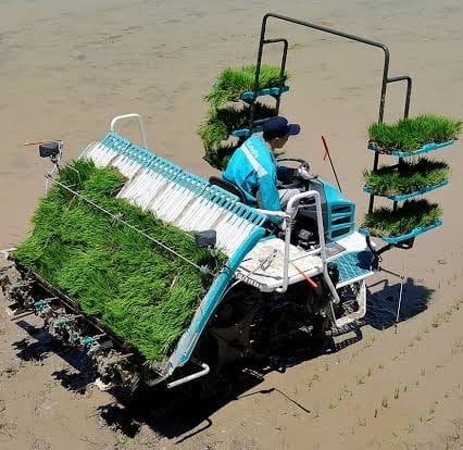 Rice Mechanization Center - RMC | Kafr el Sheikh
