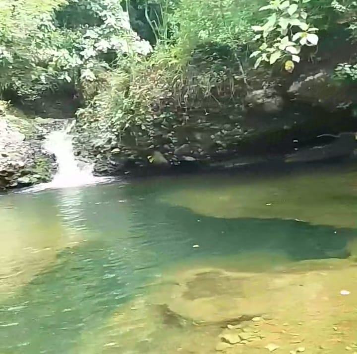 Febres Cordero