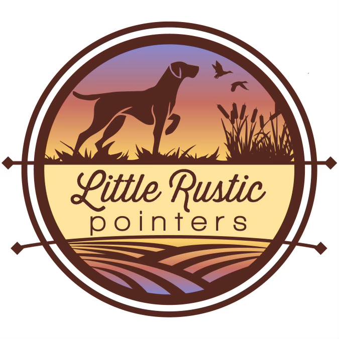 Little Rustic Pointers | Boaz AL