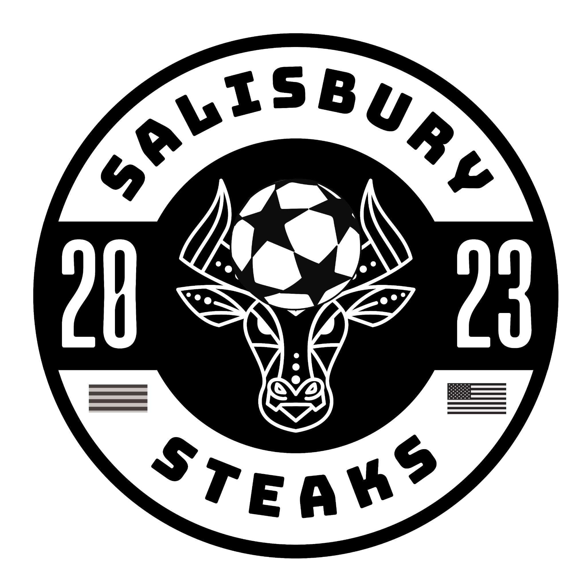 Highlights: Stephen Decatur soccer defeat Centennial 4-1 in 3A state ...