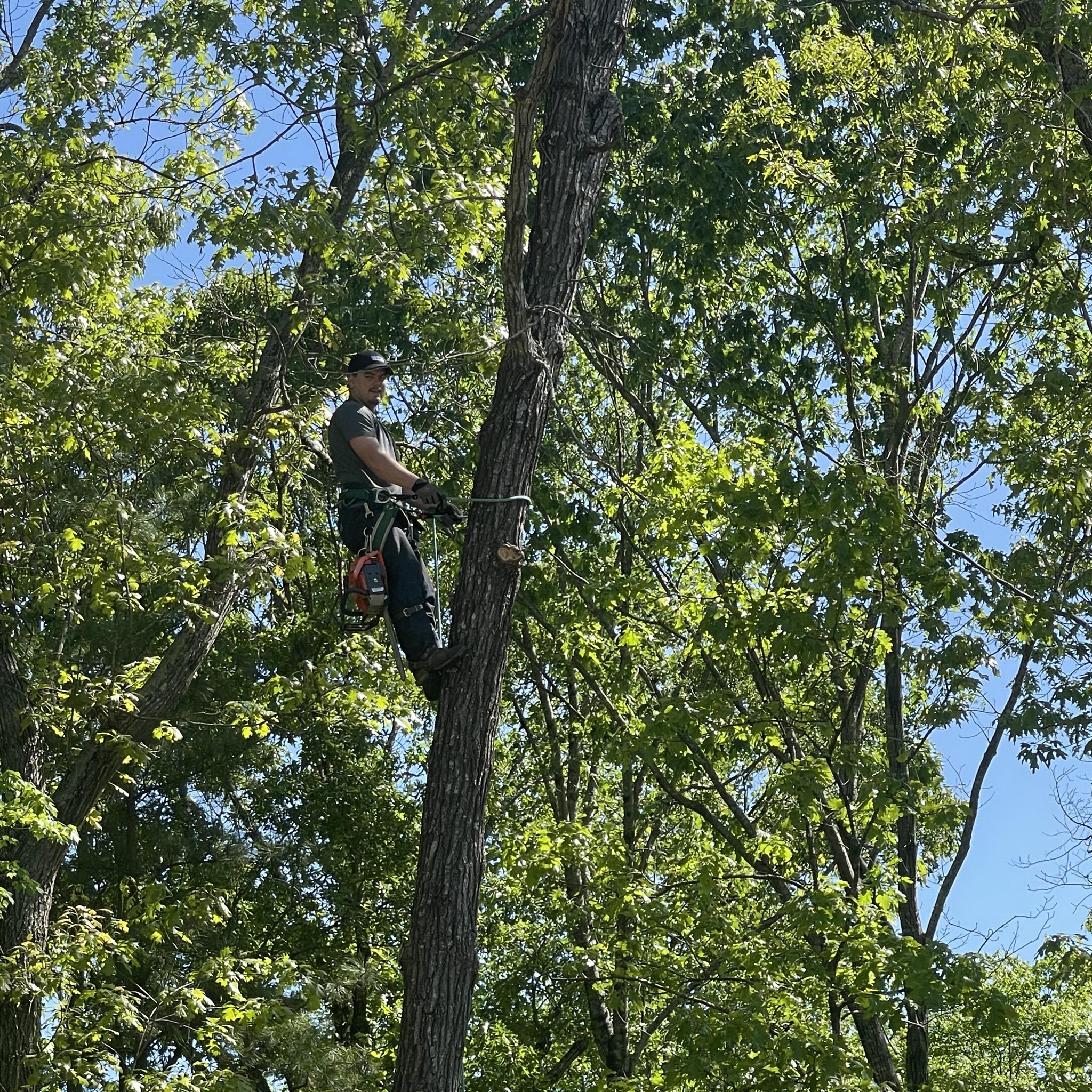 Patriot Tree Services of GA | Elberton GA