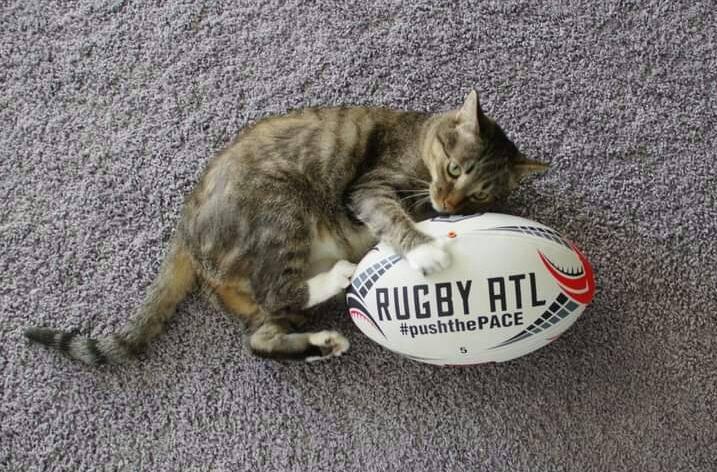 BIG CAT RUGBY