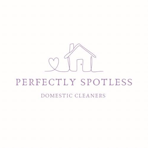Curated visual reference: Fresh Look at Perfectly Spotless Domestic Cleaner