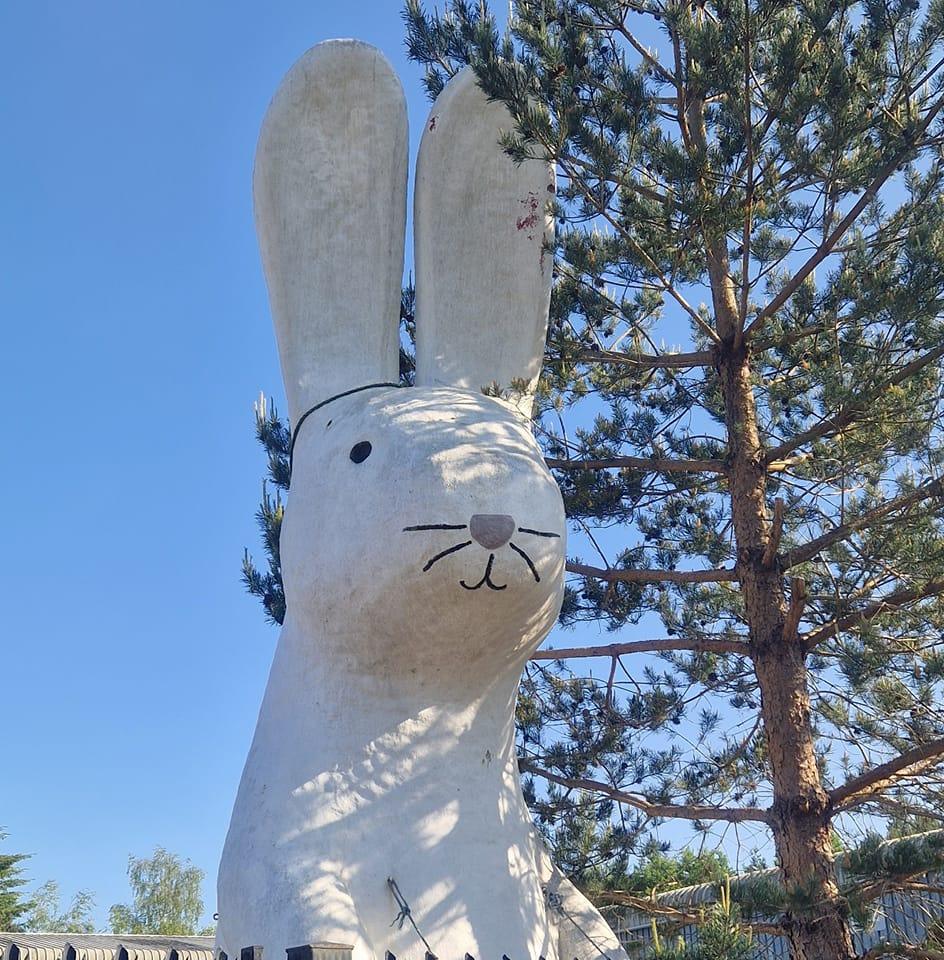 White Rabbit Self Storage | Heathfield Industrial Estate