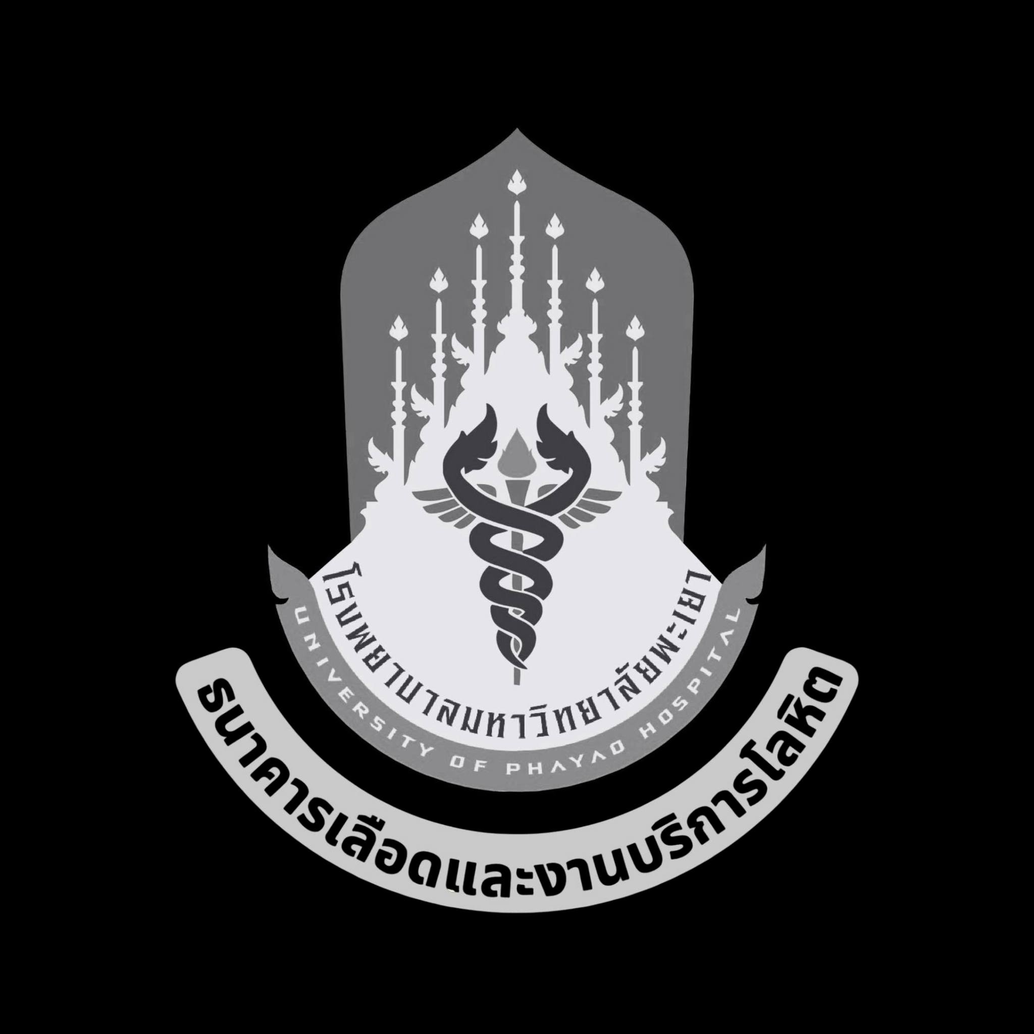 มหาวิทยาลัยพะเยา | Phayao