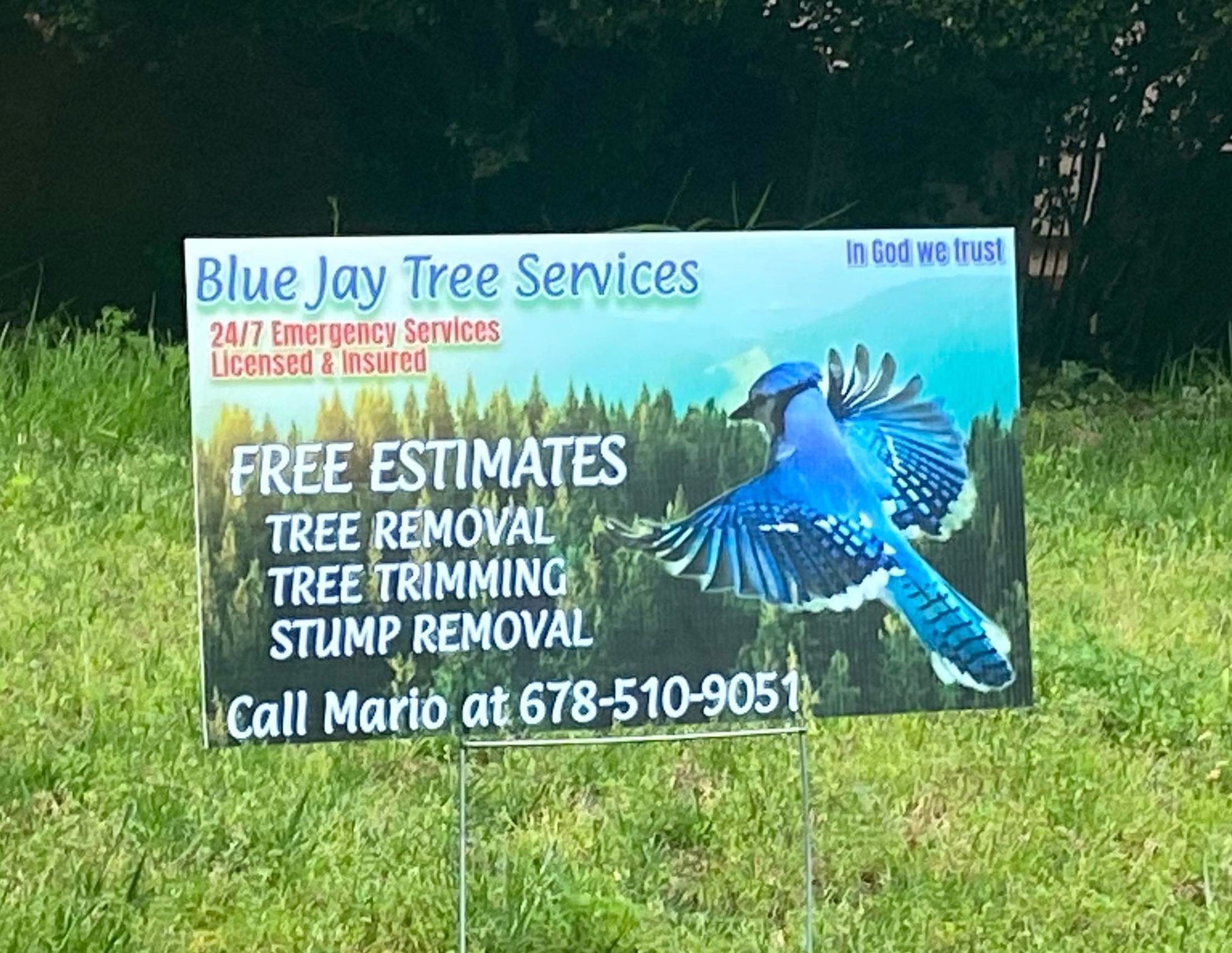 Blue Jay Tree Services LLC | Lawrenceville GA