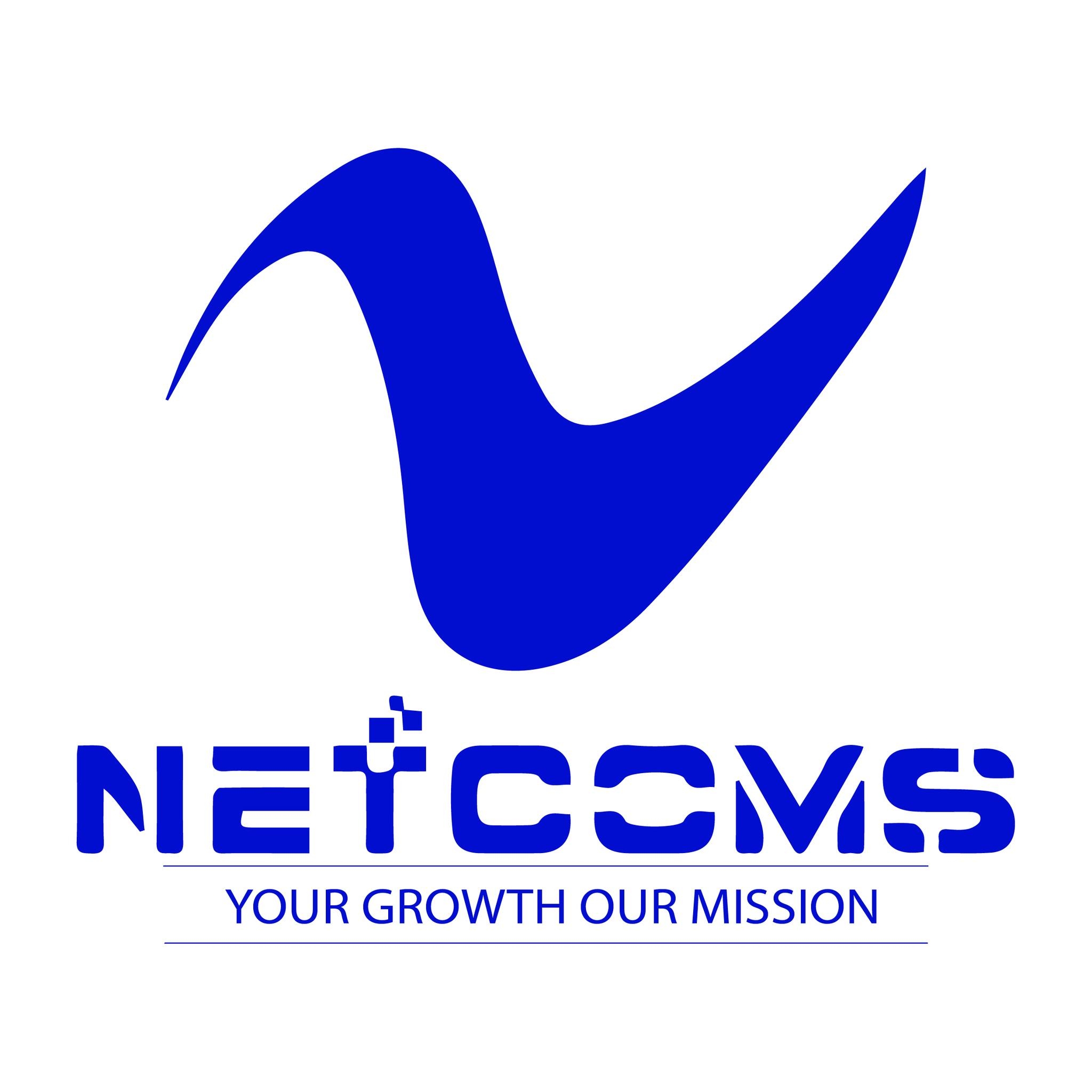 Netvisor Logo