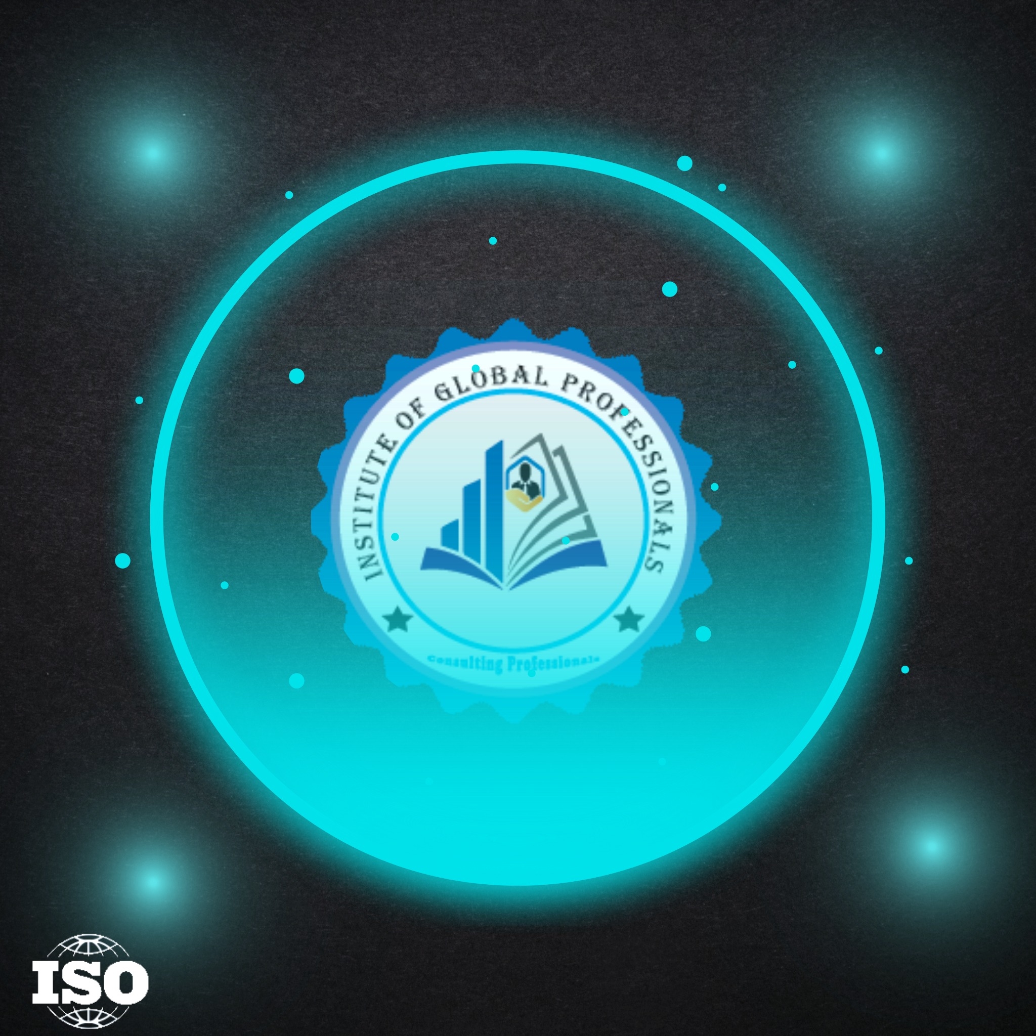 IGP Tech Group