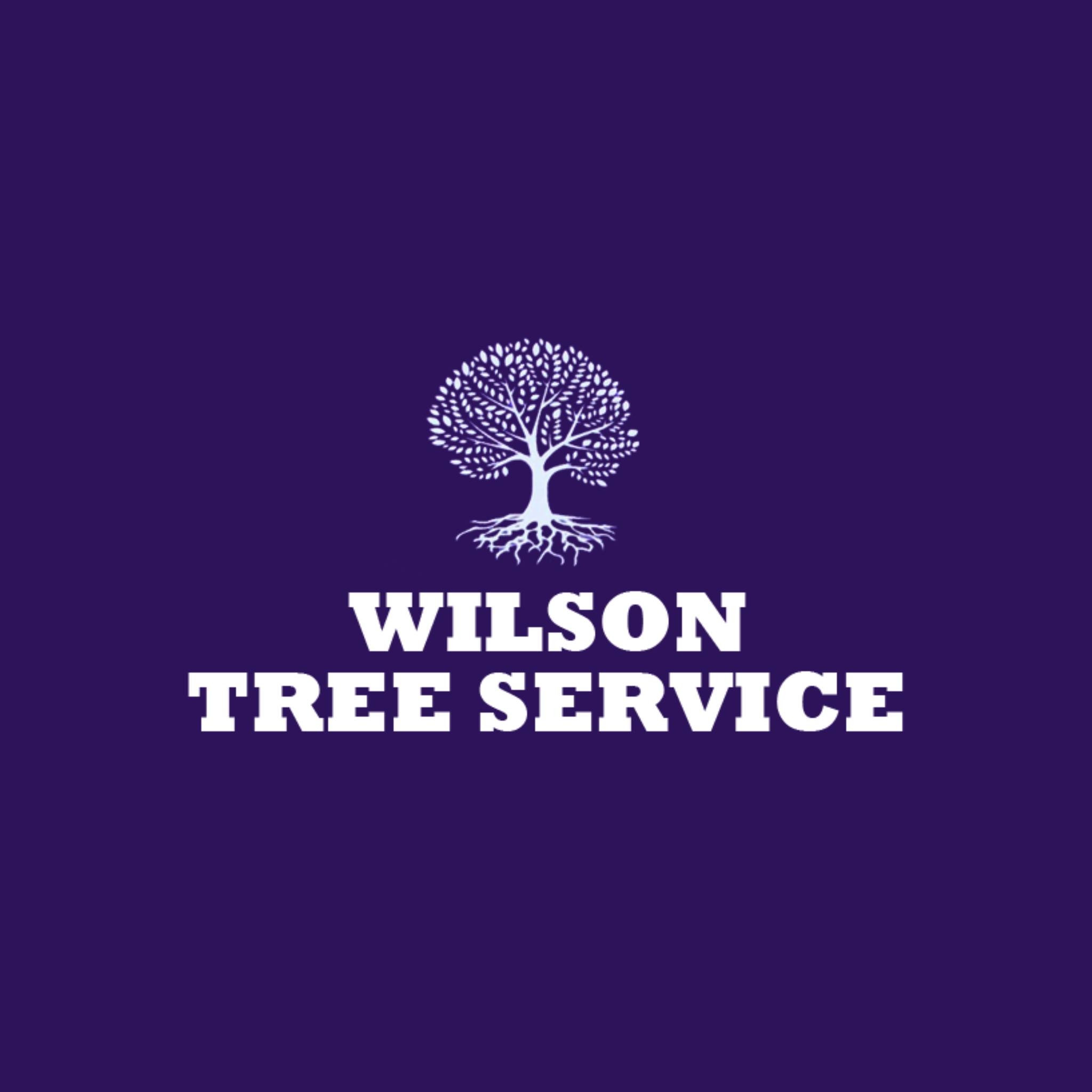 Wilson Tree Service | Greenville TX