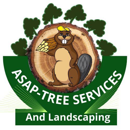 Asap-tree services