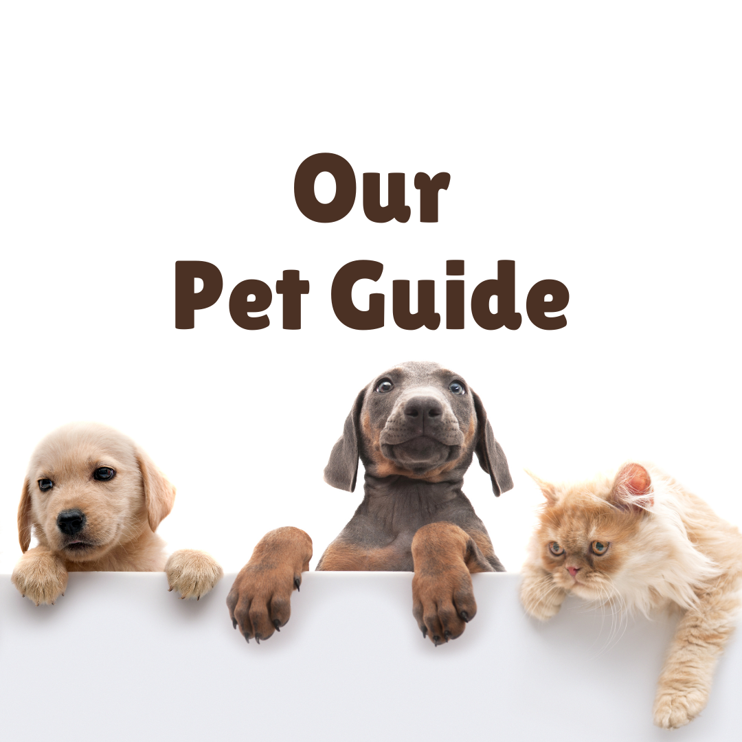 Our Pet Guide