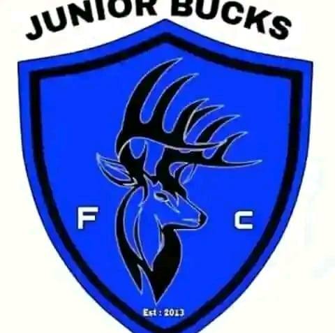 Junior bucks