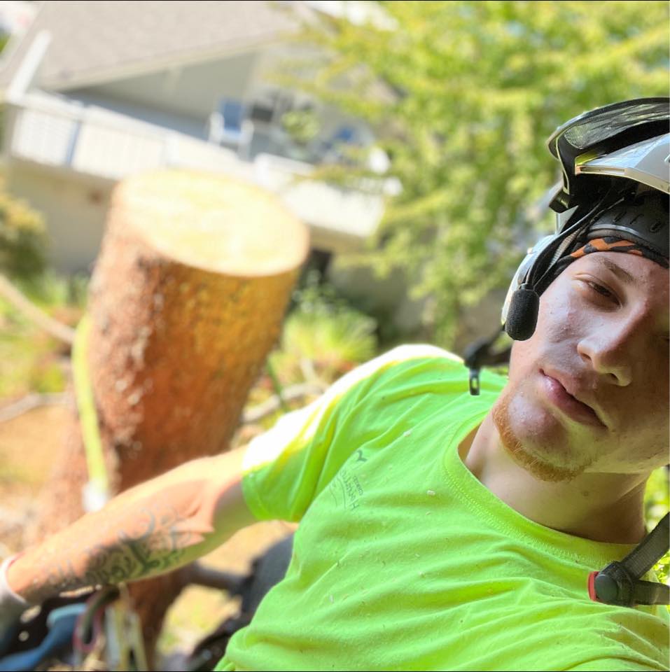 Puget Sound Tree LLC | Bremerton WA