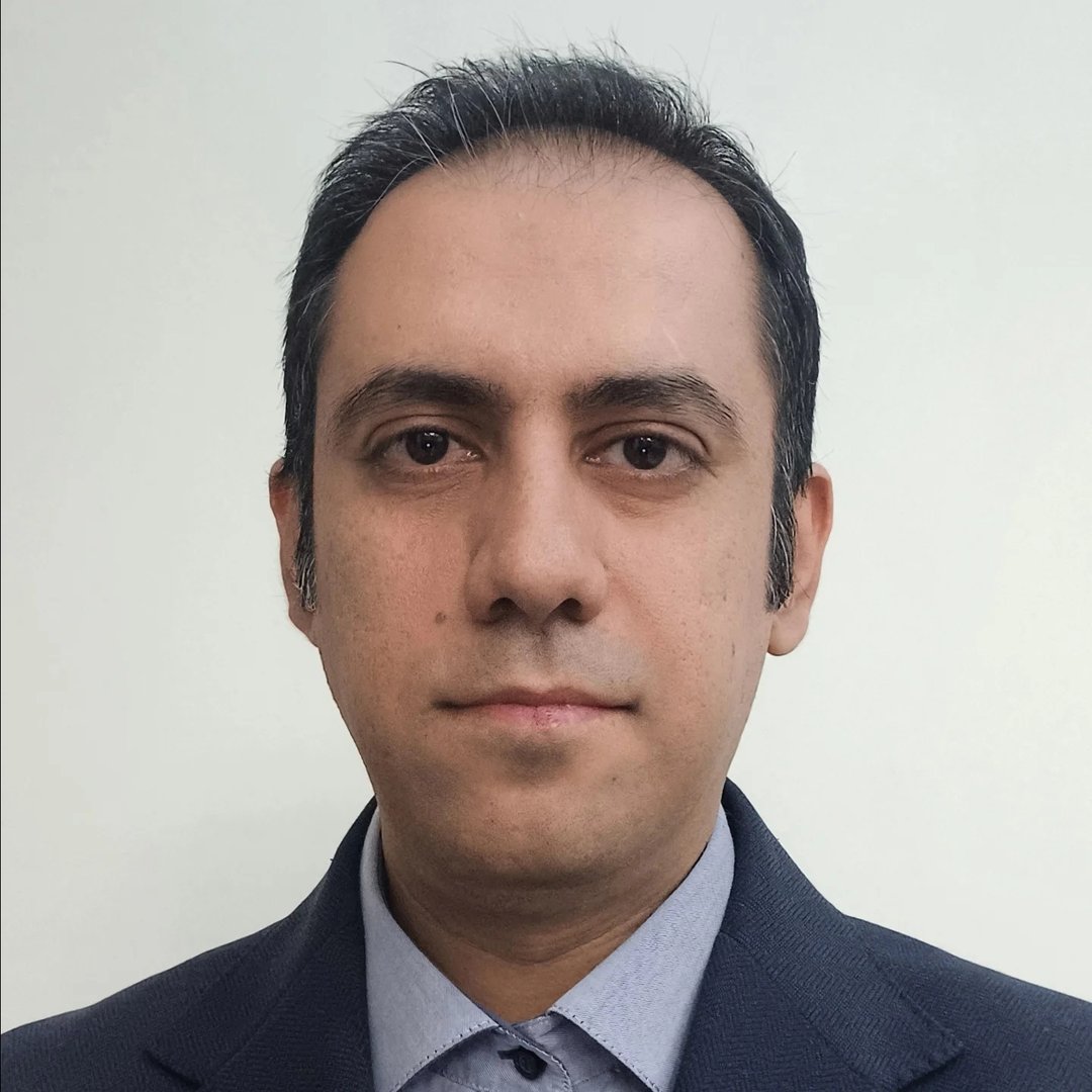 Amir H Mobini