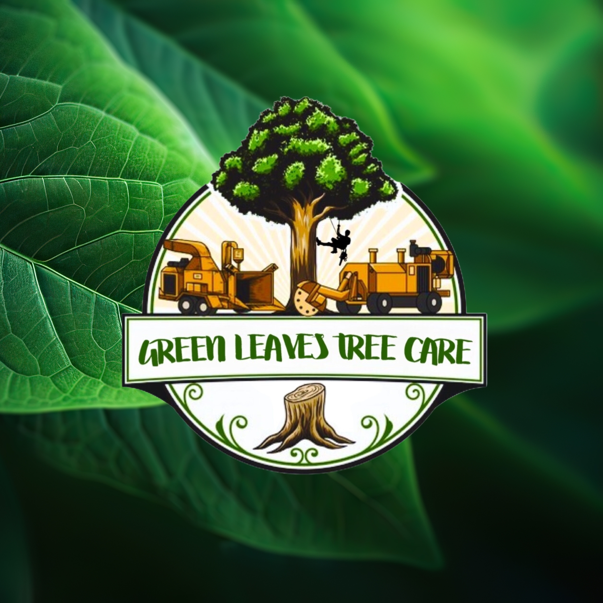 Green Leaves Tree Care Corp | Durham NC
