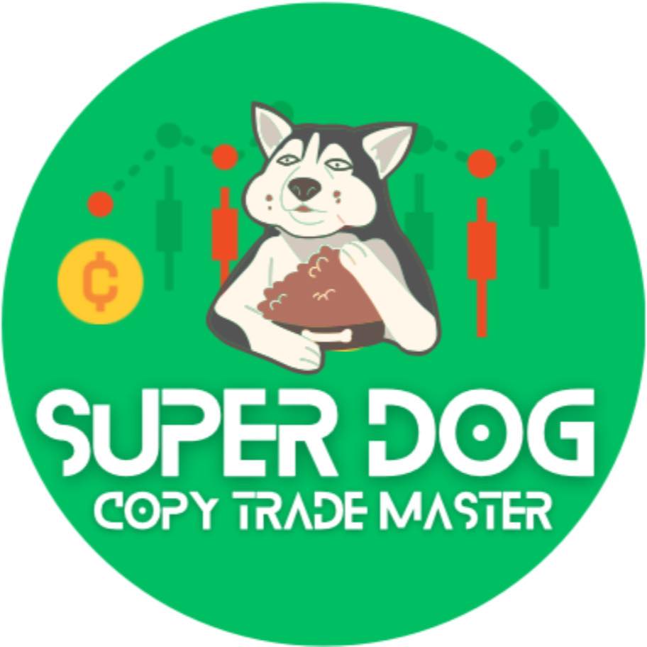 Super Dog Copy trade master