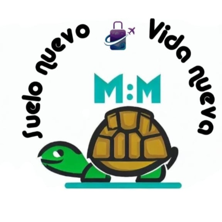 Traveling Turtle