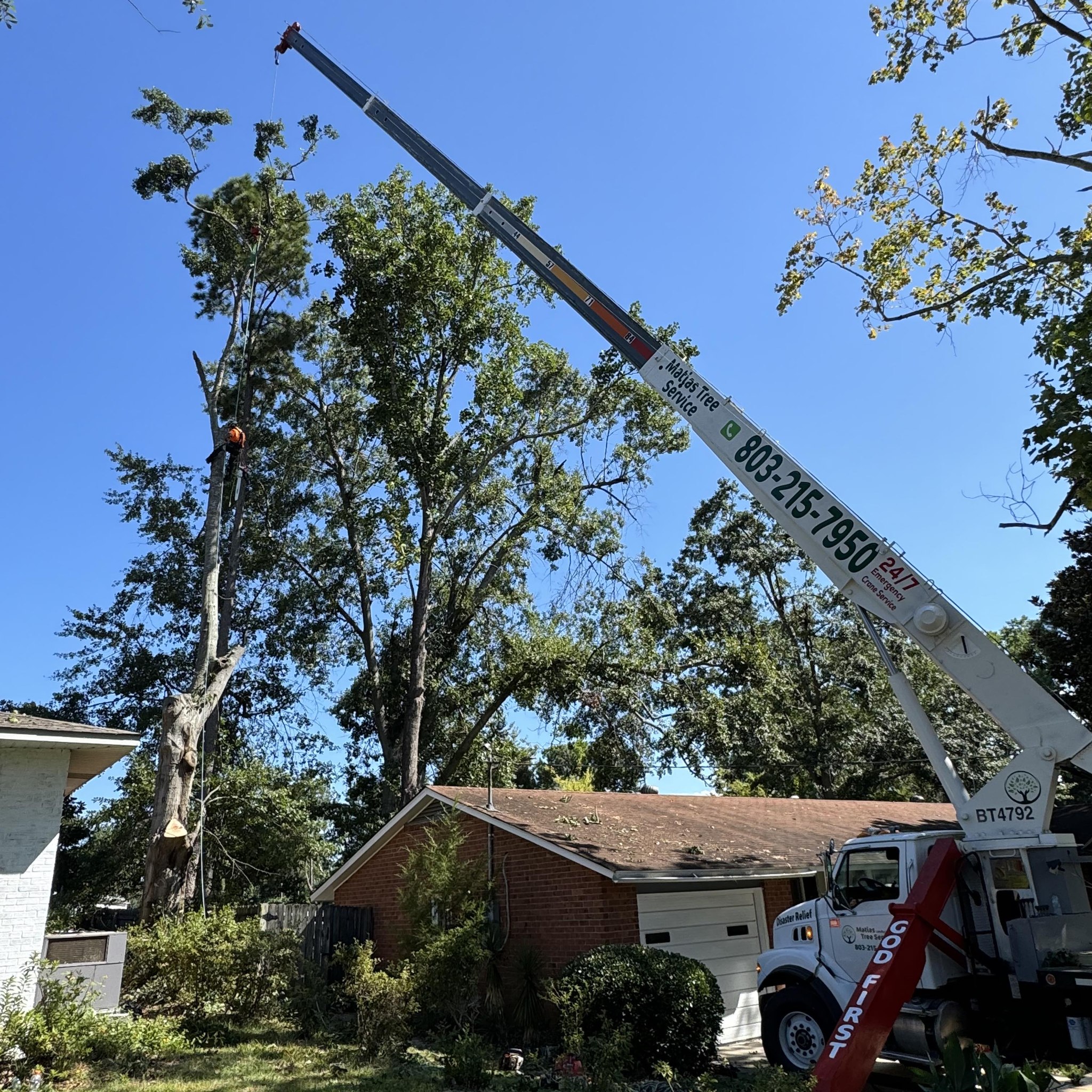 Disgusta, GA | Any good tree removal companies or that will help me ...