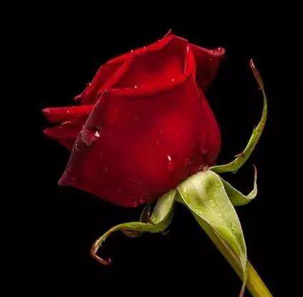 Md Badsha