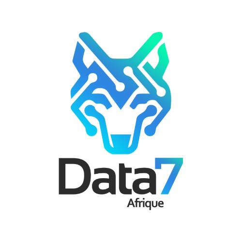 Data 7 Afrique