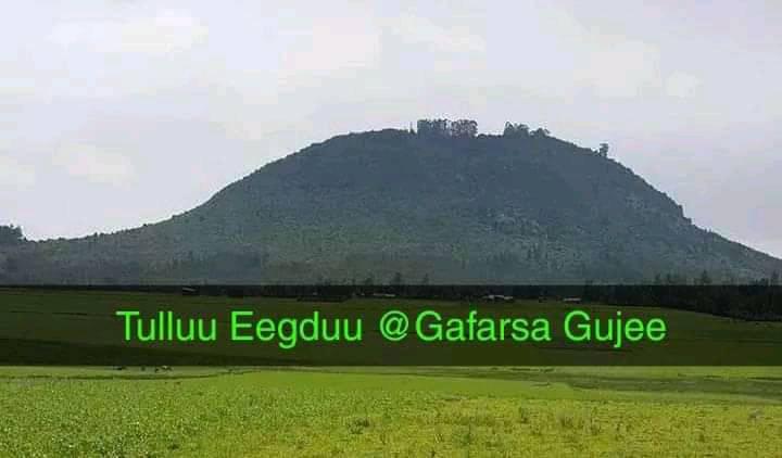 Gafarsa Guje Digital Media