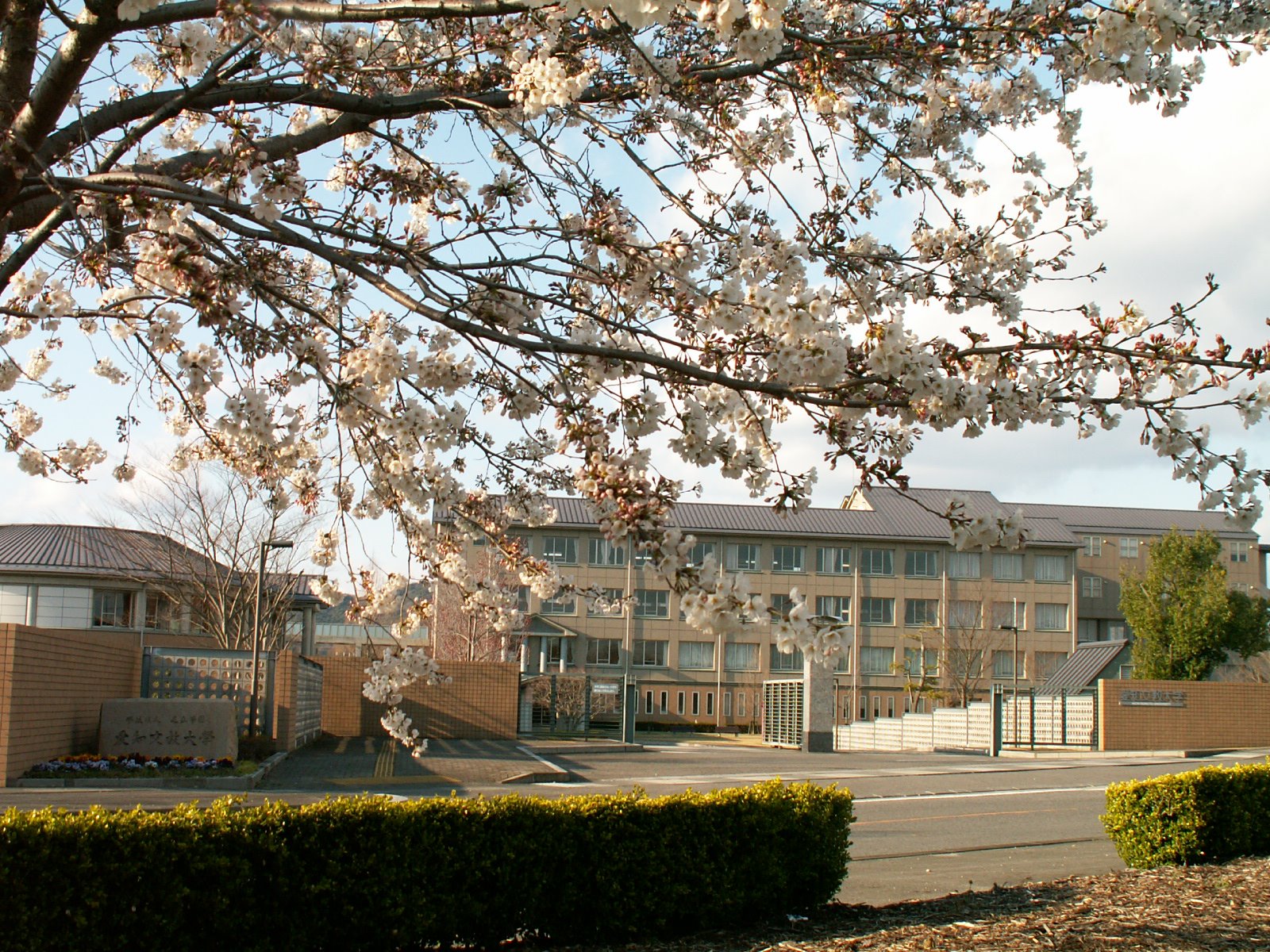 愛知 文教 大学