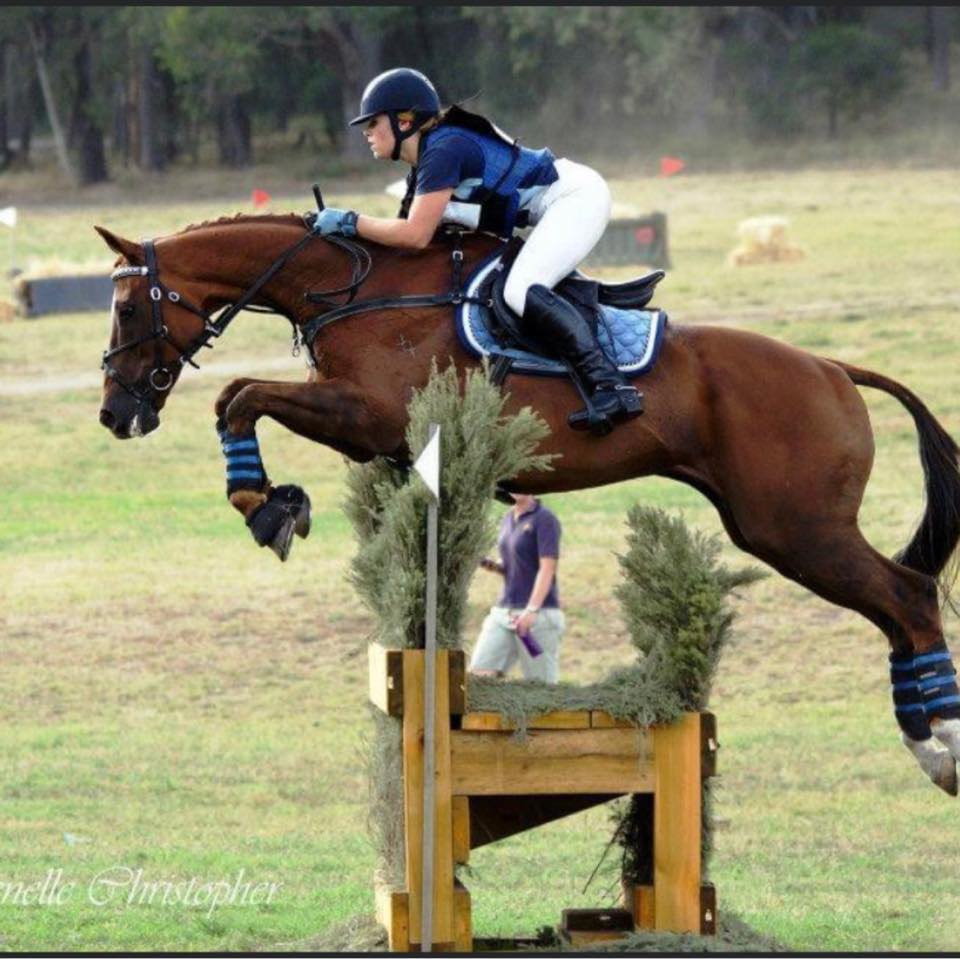 Stumpy Gully Performance Horses | Moorooduc VIC