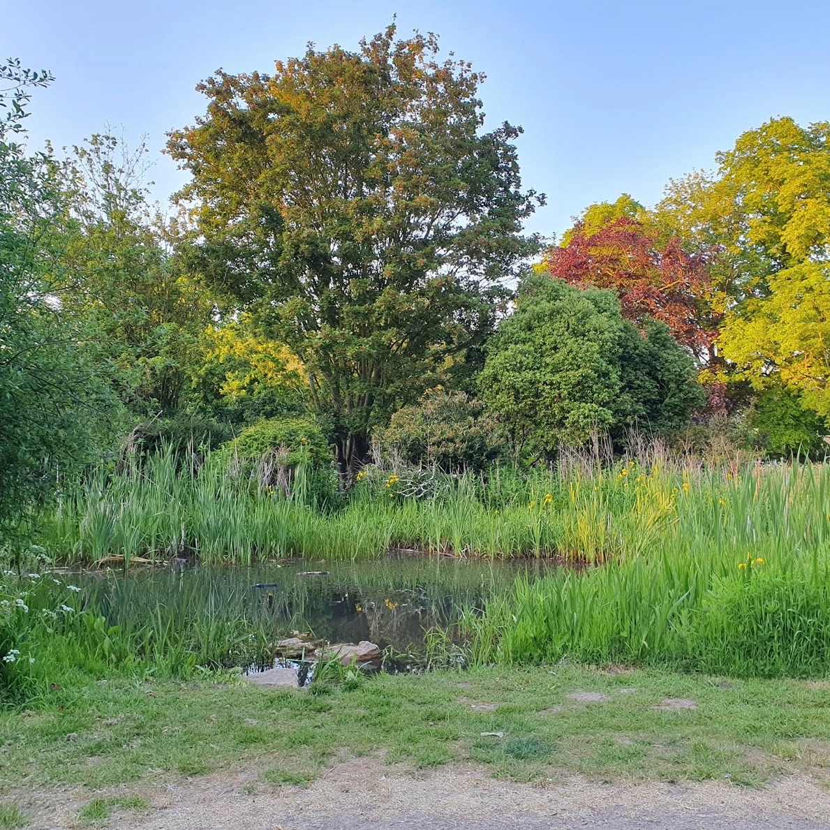 Paddock Park Gretton