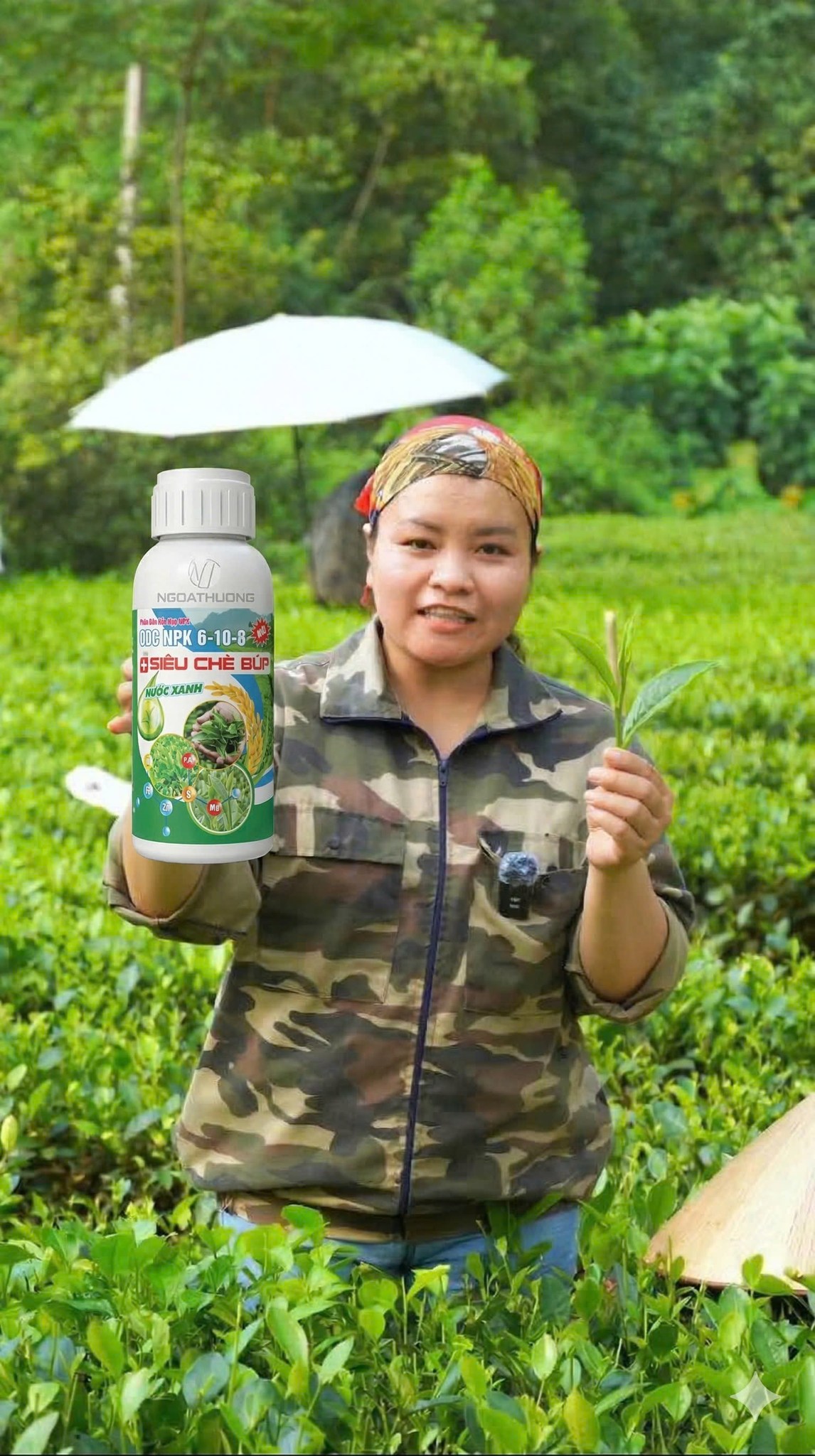 Chế Phẩm Sinh Học Bio - Tăng Năng Xuất Cây Chè