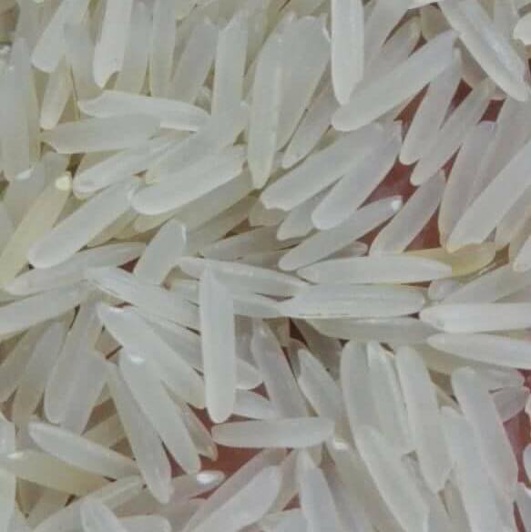Rauf Rice Traders