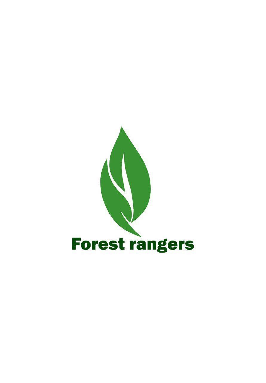 Forest rangers