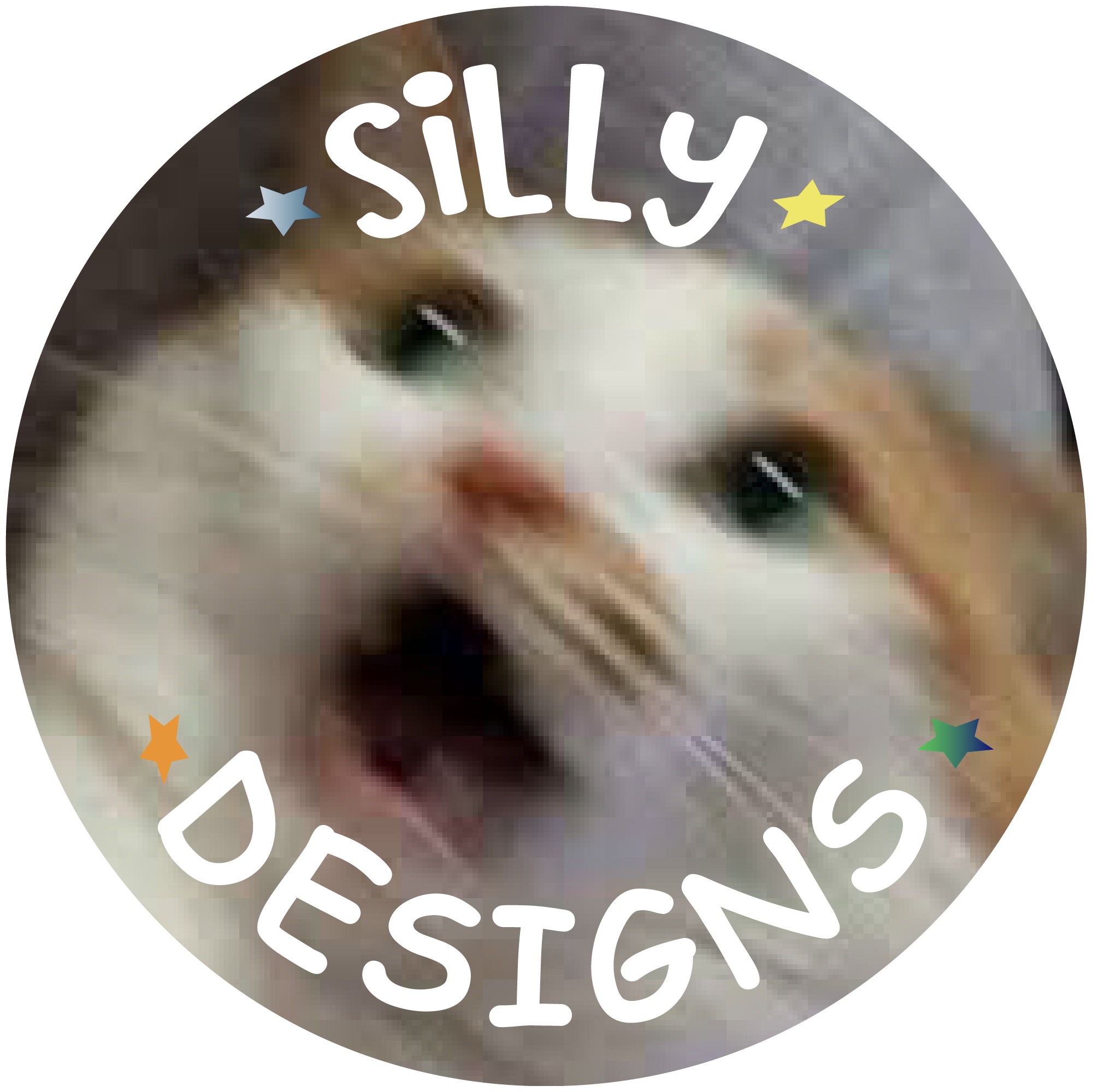 Silly Designs