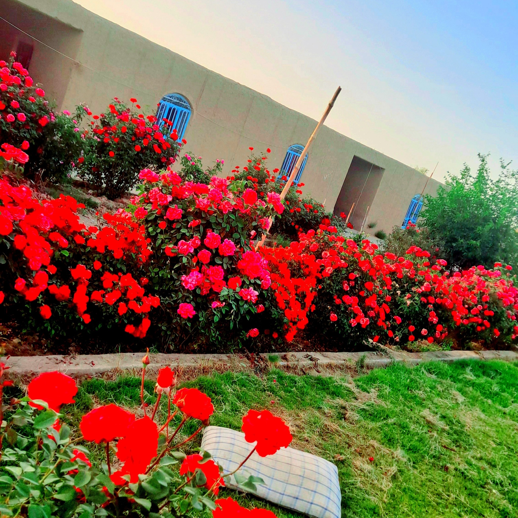 24-30-ahmad-nabi