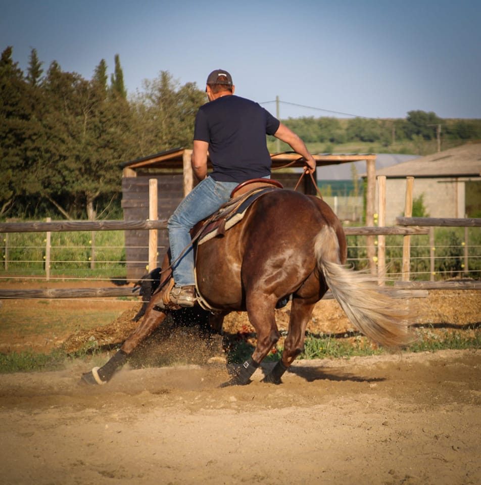 Little Ranch SC | Le Cailar