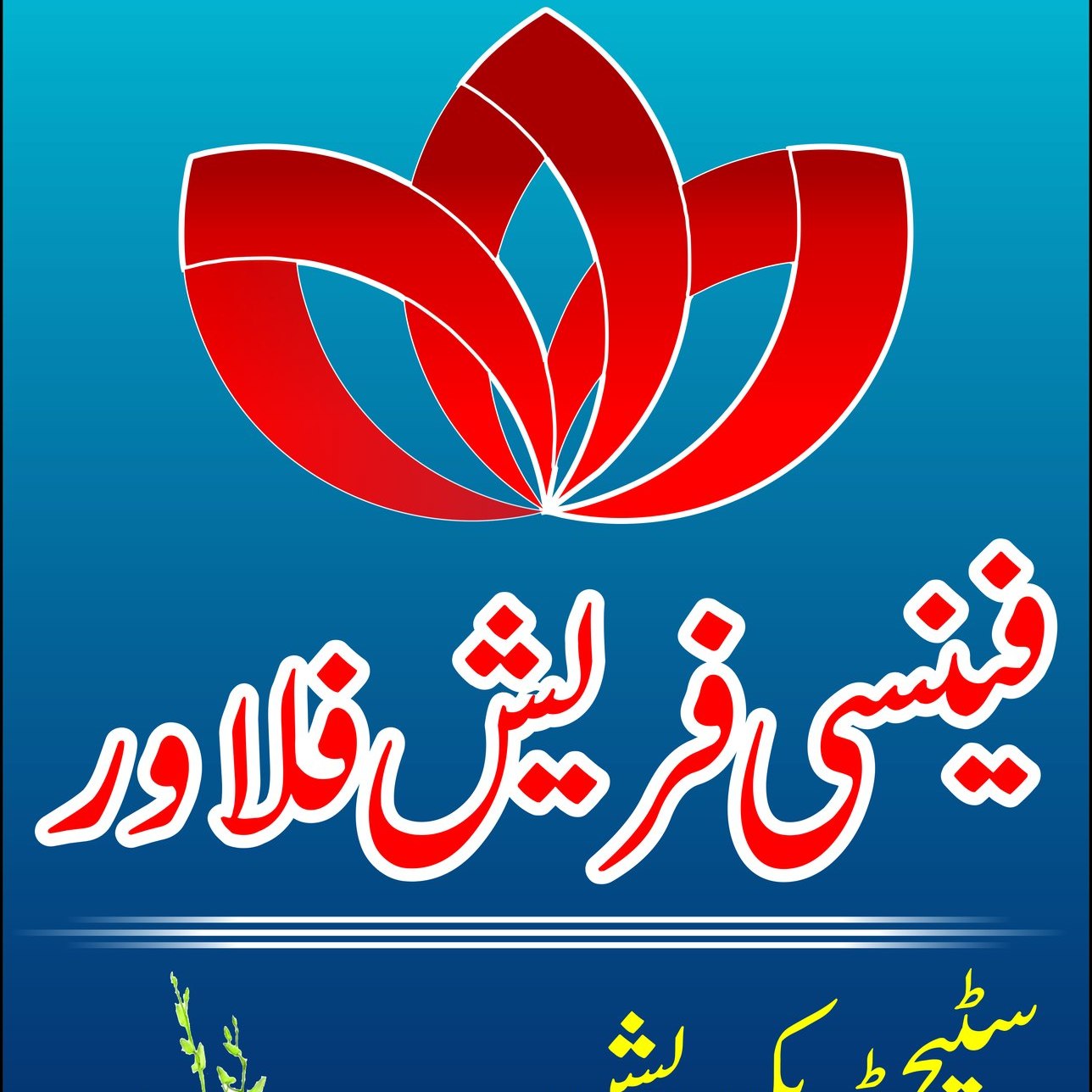 Zubaida Apa | Abbottabad